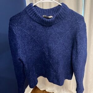 Everlane Alpaca Blue Cropped Sweater